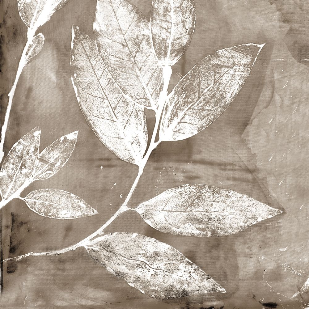 Petal Imprint I Neutral Version art print by Matina Theodosiou for $57.95 CAD