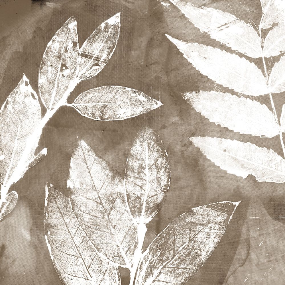 Petal Imprint II Neutral Version art print by Matina Theodosiou for $57.95 CAD
