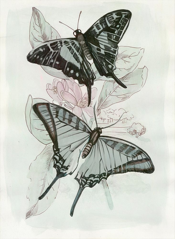 Butterfly Medley II art print by Stellar Design Studio for $57.95 CAD