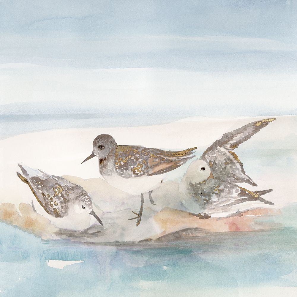 Beachside Birds IV art print by Stellar Design Studio for $57.95 CAD