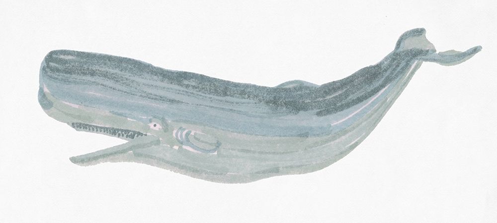 Humpback Whale II art print by Stellar Design Studio for $57.95 CAD