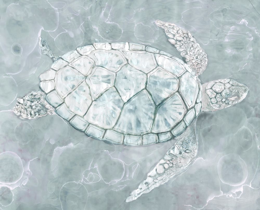 Sea Turtle art print by Stellar Design Studio for $57.95 CAD