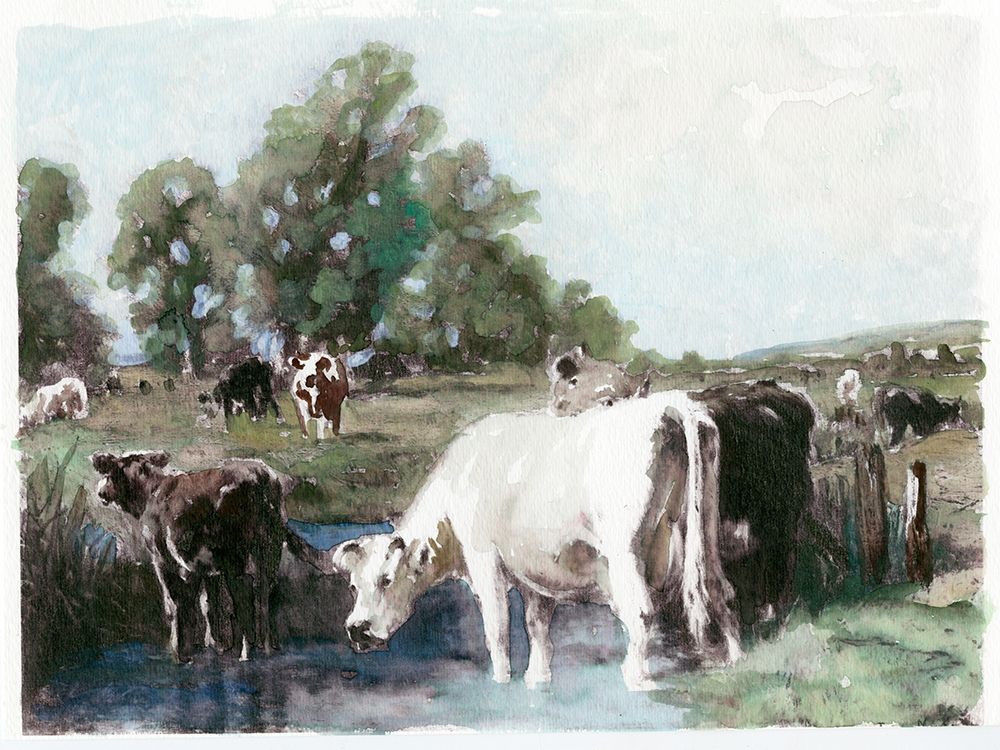 Grazing Cows art print by Stellar Design Studio for $57.95 CAD