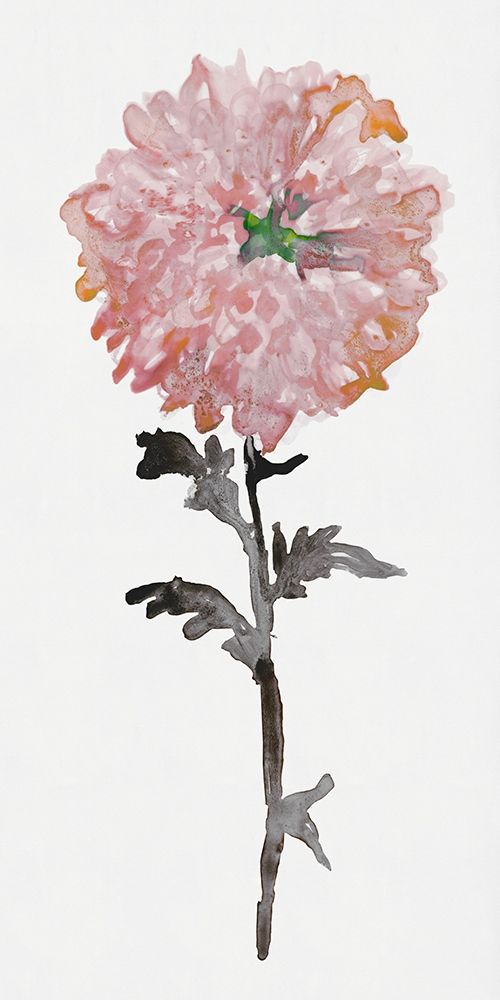 Flourishing Floral II art print by Stellar Design Studio for $57.95 CAD
