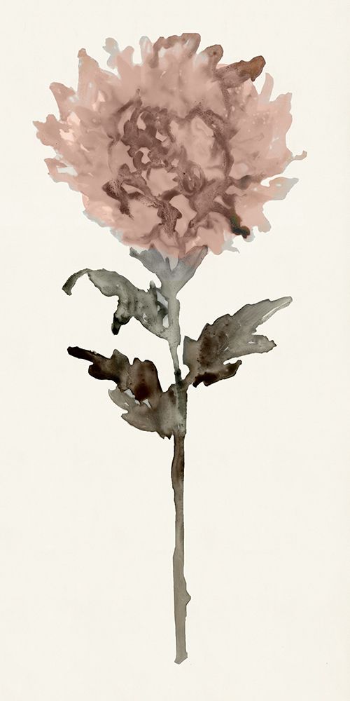 Flourishing Floral IV art print by Stellar Design Studio for $57.95 CAD