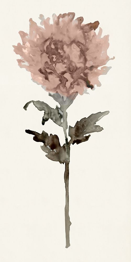 Flourishing Floral IV art print by Stellar Design Studio for $57.95 CAD