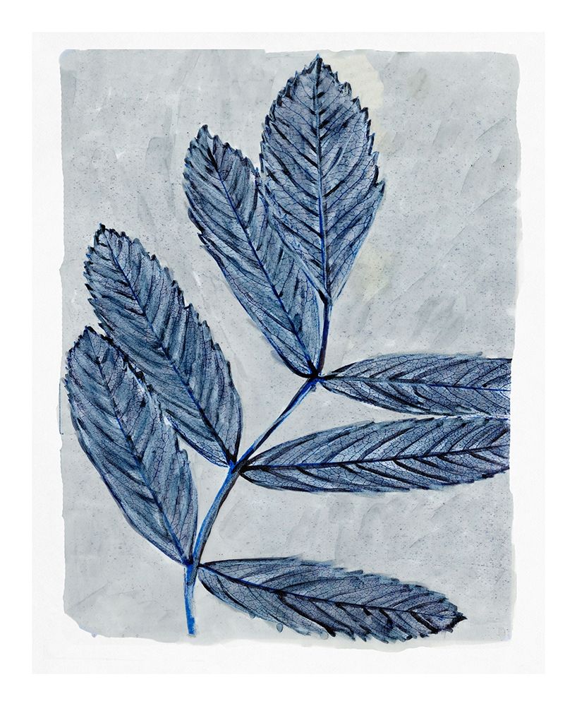 Modern Botanical Study I art print by Stellar Design Studio for $57.95 CAD