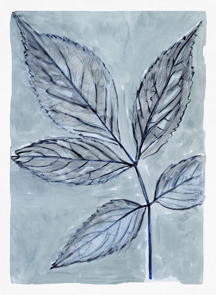 Modern Botanical Study III art print by Steller Design Studio for $57.95 CAD
