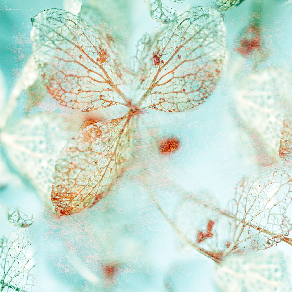 Floral Blues I art print by Surma And Guillen for $57.95 CAD