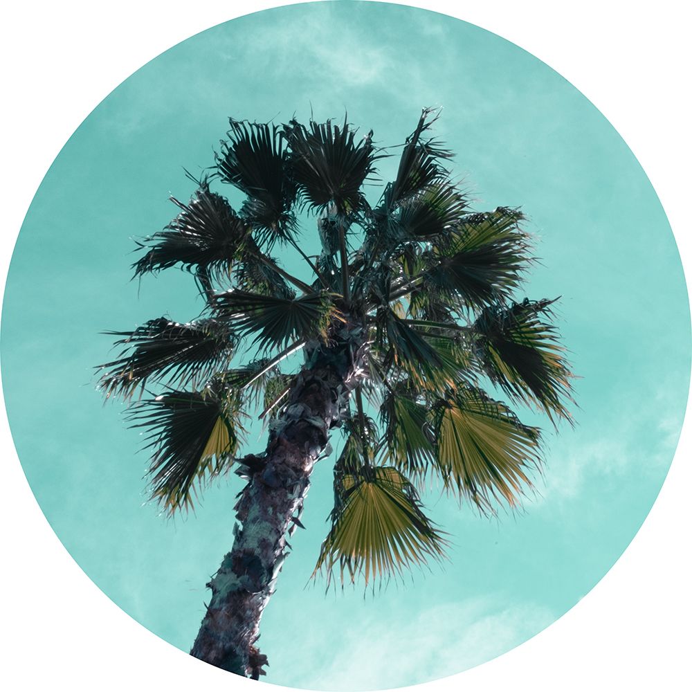 Ocean Drive I art print by J:L Design for $57.95 CAD
