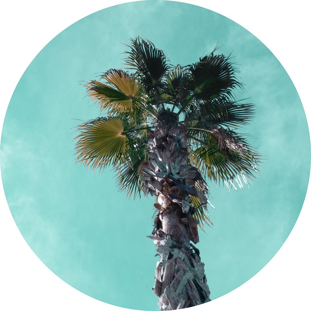 Ocean Drive II art print by J:L Design for $57.95 CAD