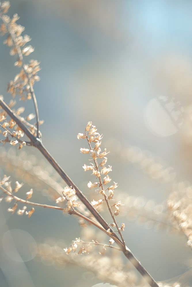 Golden Branch I art print by J:L Design for $57.95 CAD