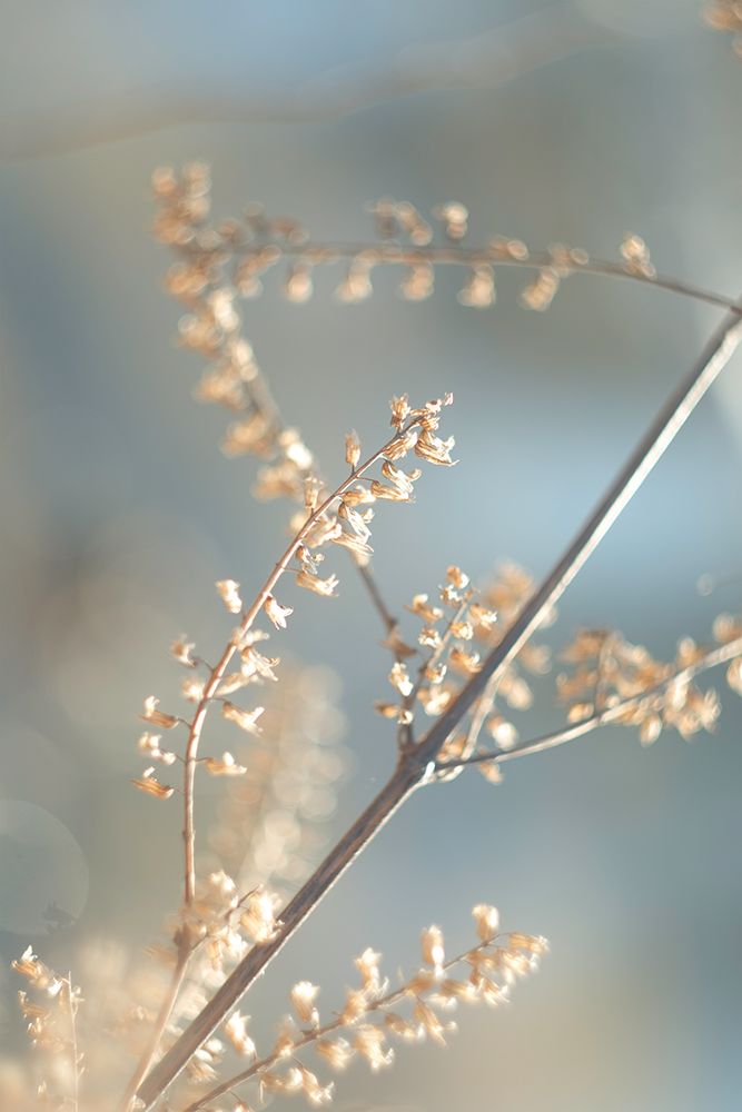 Golden Branch II art print by J:L Design for $57.95 CAD
