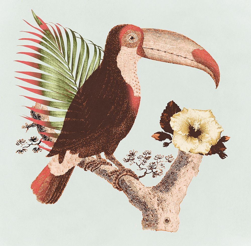 Tropical Toucan art print by Surma for $57.95 CAD