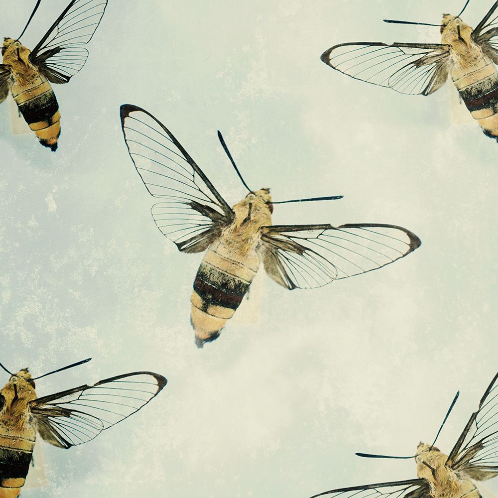 Busy Bees art print by Chelsea Victoria for $57.95 CAD