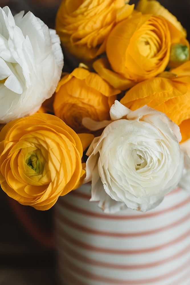 Yellow Flowers in Vase art print by Chelsea Victoria for $57.95 CAD