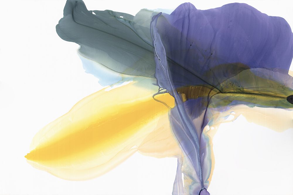 Fluttering art print by Vicki McFarland for $57.95 CAD