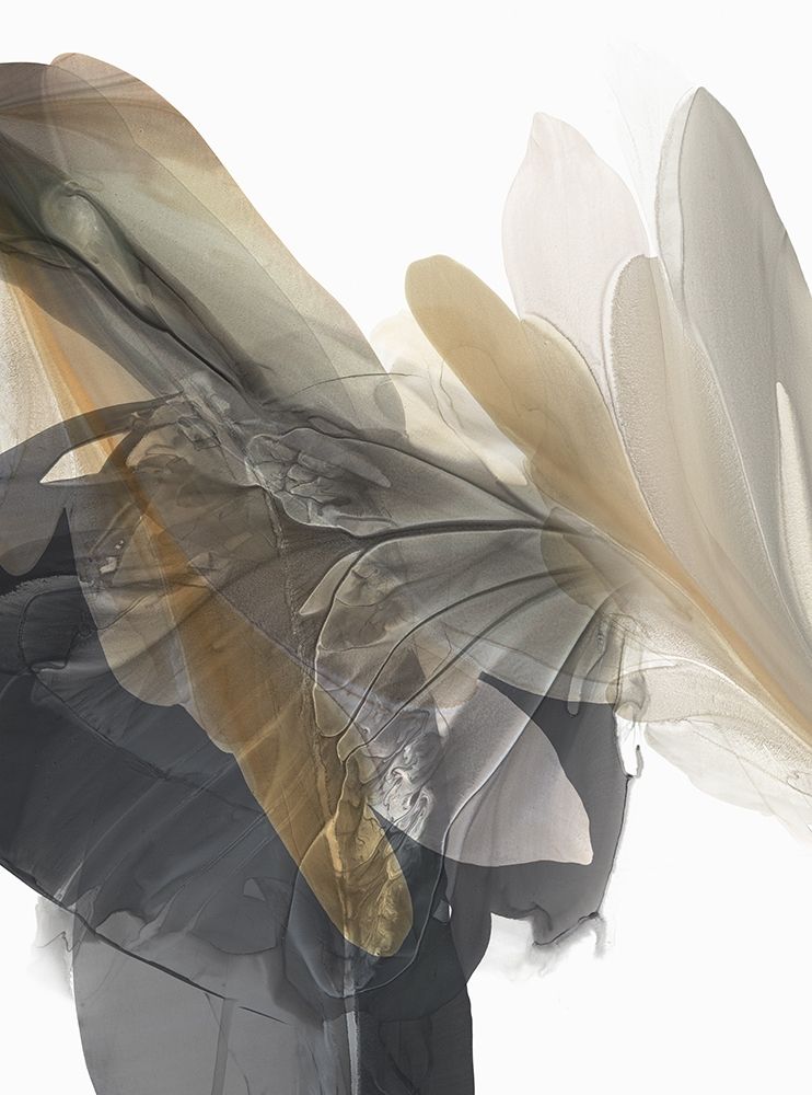 Emerging Gold I art print by Vicki McFarland for $57.95 CAD