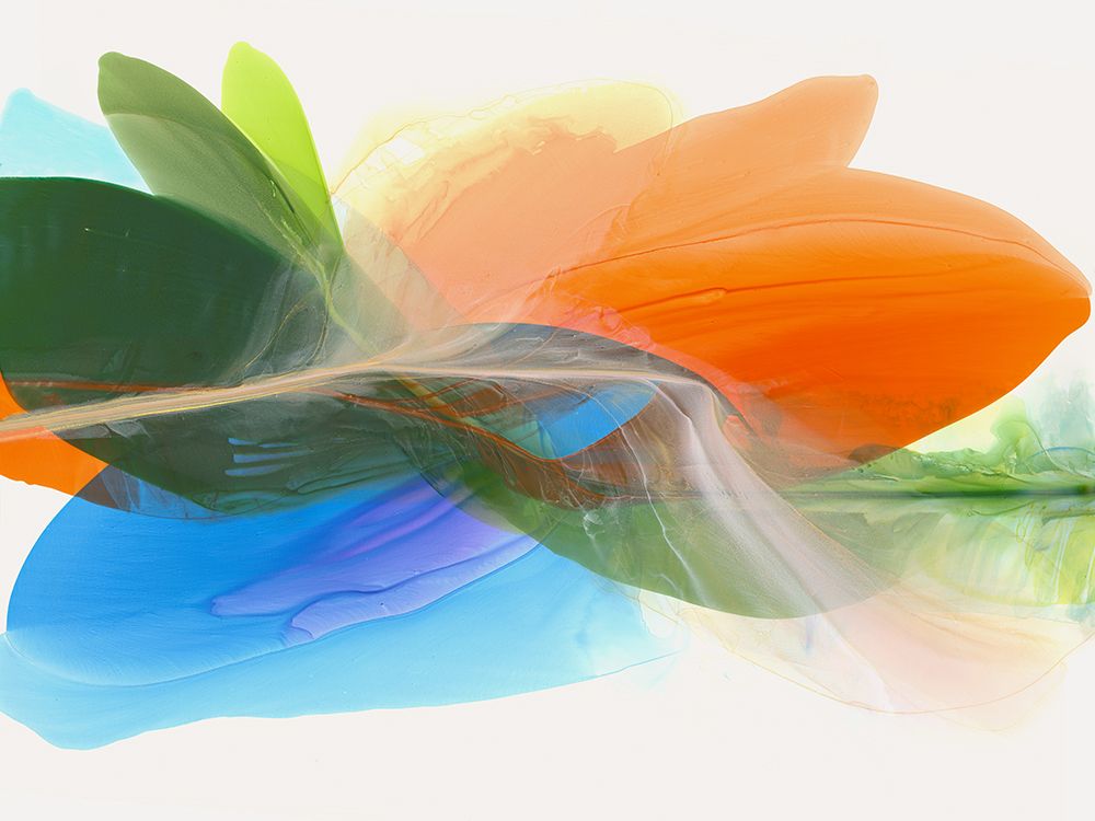 Orange Burst art print by Vicki McFarland for $57.95 CAD