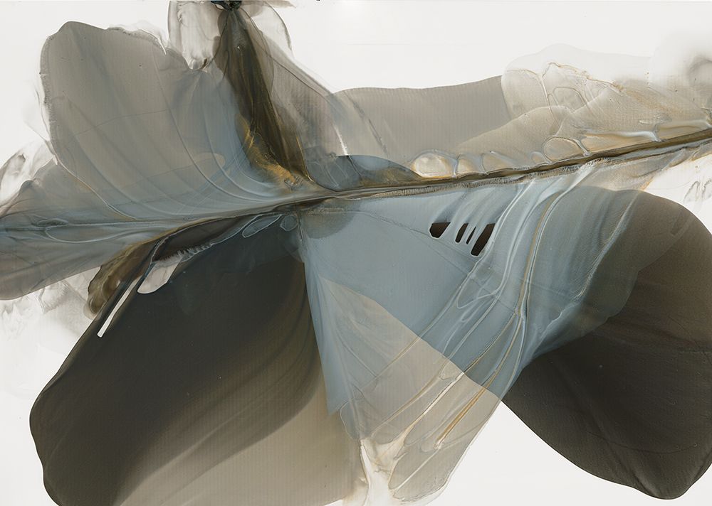 Flowing Silhouette of Natures Grace art print by Vicki McFarland for $57.95 CAD