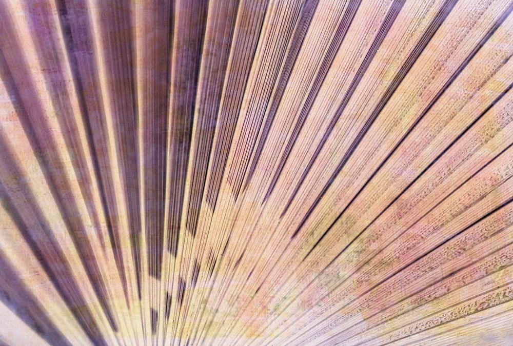 Palm Leaf Elements II art print by Vincze for $57.95 CAD
