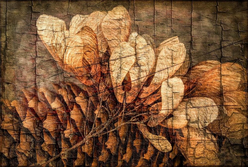 Autumnal Details I art print by Vincze for $57.95 CAD