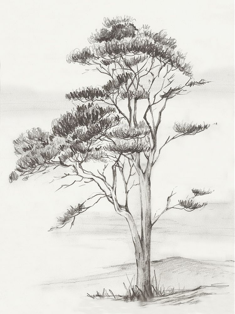 Solitary Tree in Gentle Breeze I art print by Luna Mavis for $57.95 CAD
