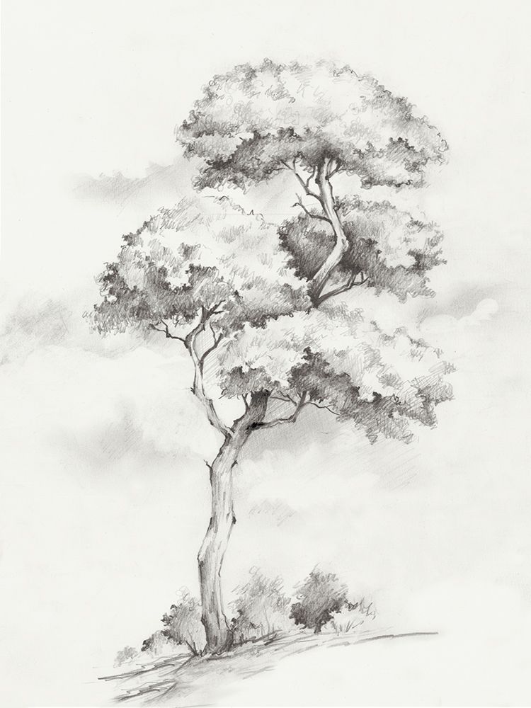 Solitary Tree in Gentle Breeze II art print by Luna Mavis for $57.95 CAD