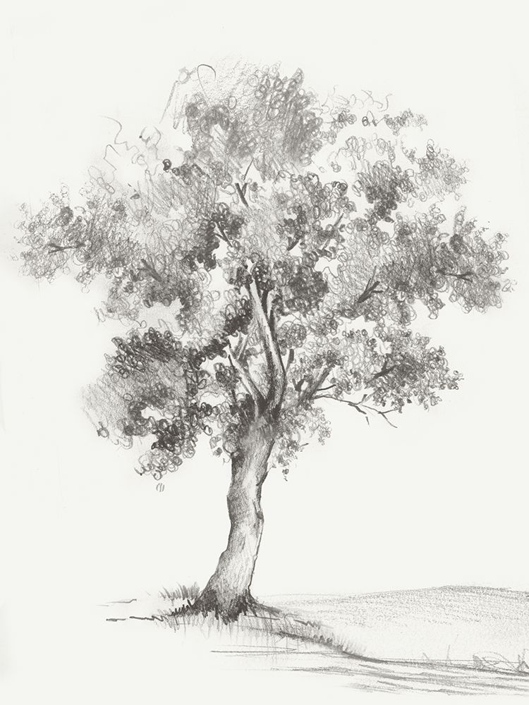 Solitary Tree in Gentle Breeze III art print by Luna Mavis for $57.95 CAD