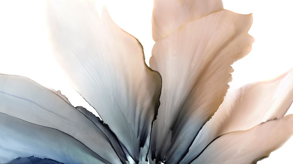 Delicate in Blue art print by Wendy Kroker for $57.95 CAD