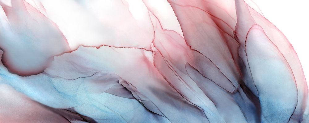 Blooming Petals art print by Wendy Kroker for $57.95 CAD