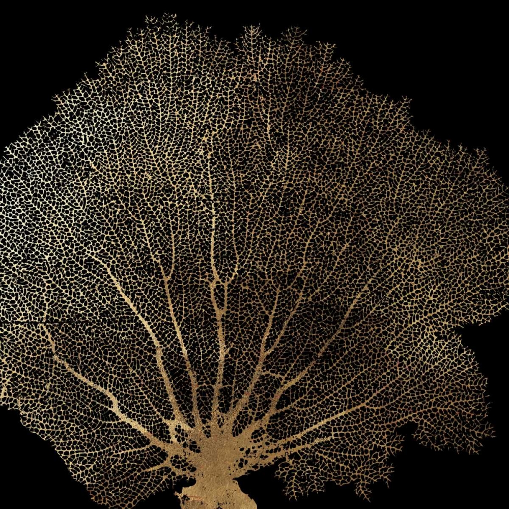 Honey Comb Coral II art print by Aimee Wilson for $57.95 CAD