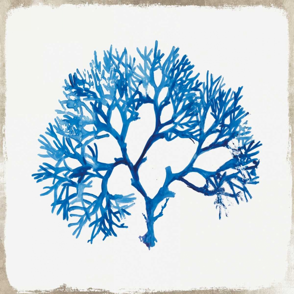 Blue Coral I art print by Aimee Wilson for $57.95 CAD