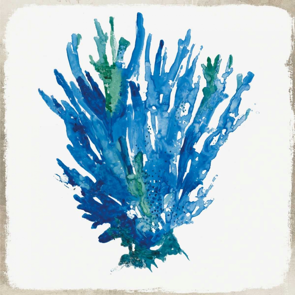 Blue Coral III art print by Aimee Wilson for $57.95 CAD