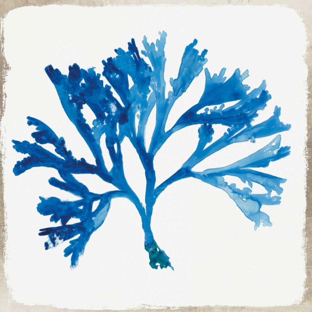 Blue Coral IV art print by Aimee Wilson for $57.95 CAD