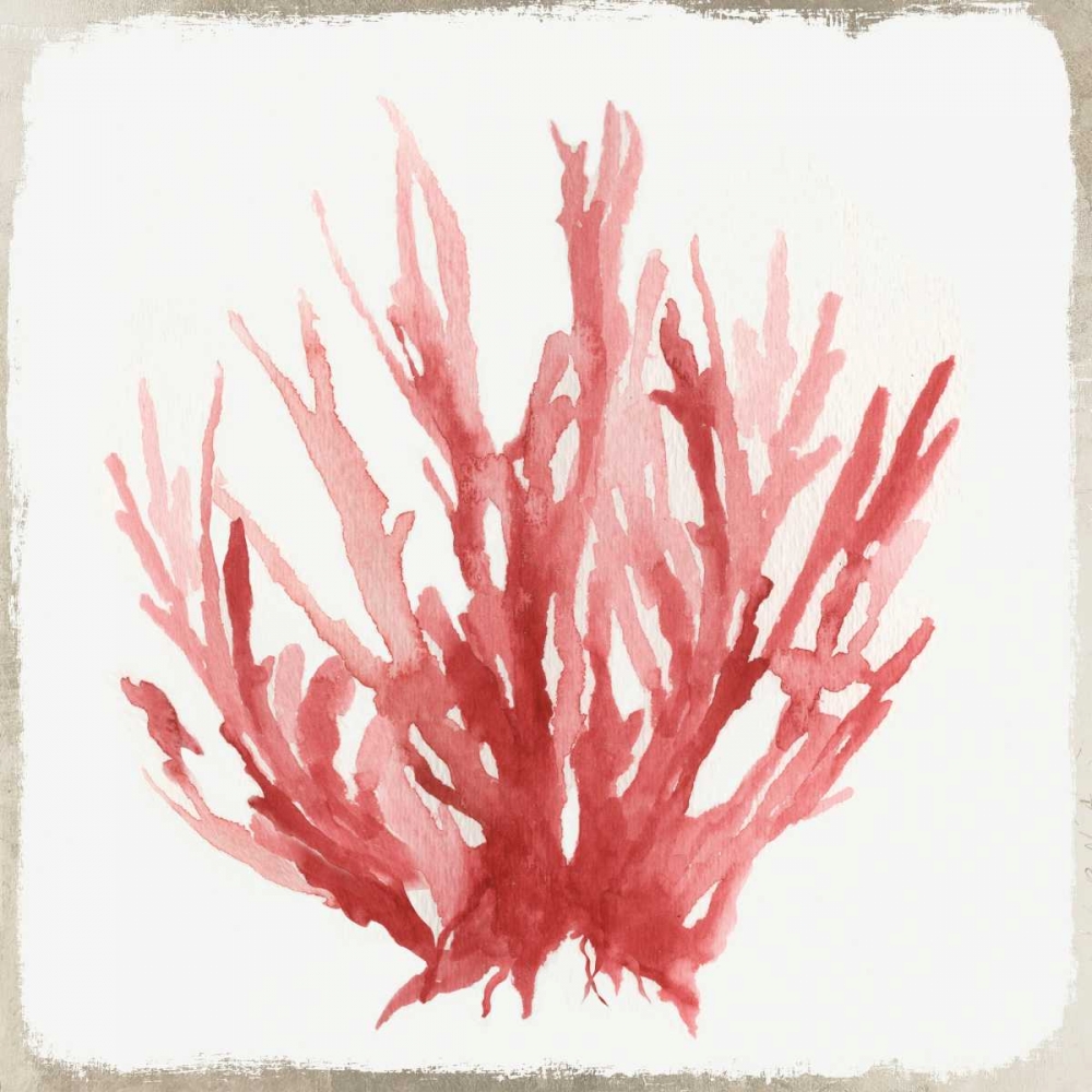 Red Coral I art print by Aimee Wilson for $57.95 CAD