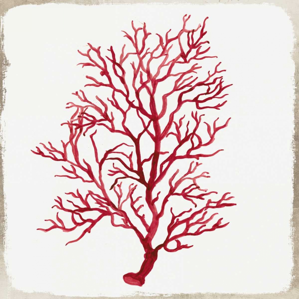 Red Coral III art print by Aimee Wilson for $57.95 CAD