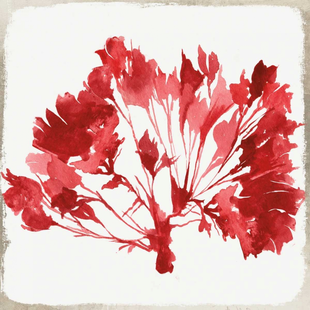 Red Coral IV art print by Aimee Wilson for $57.95 CAD