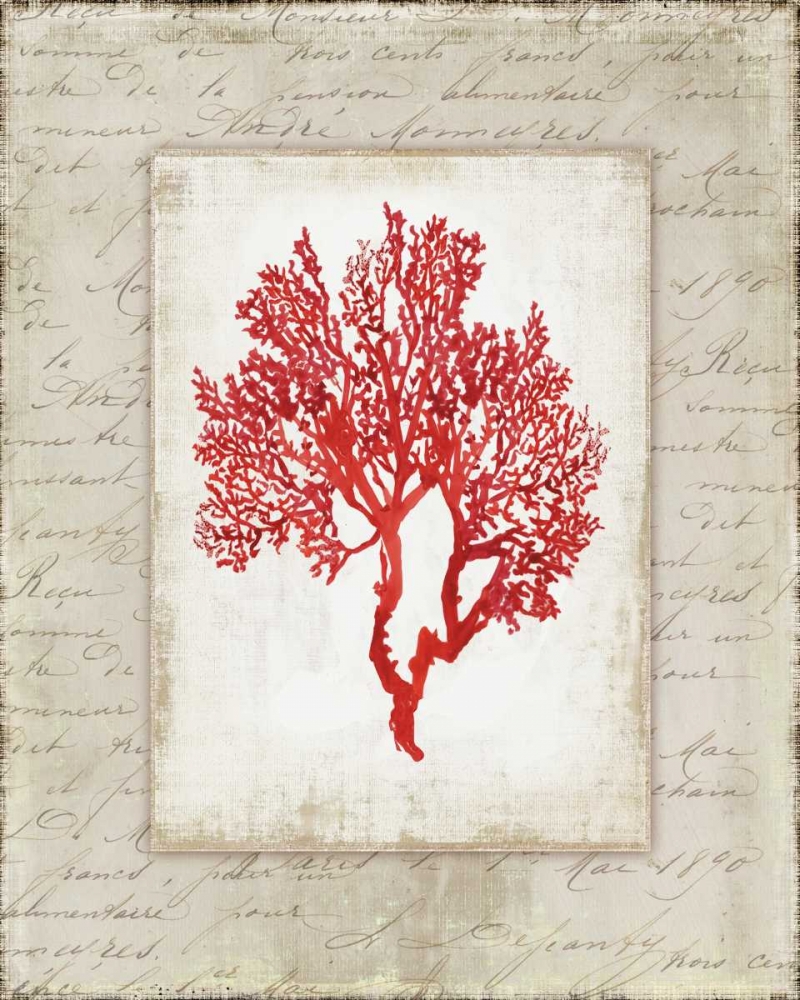 Red Coral II art print by Aimee Wilson for $57.95 CAD