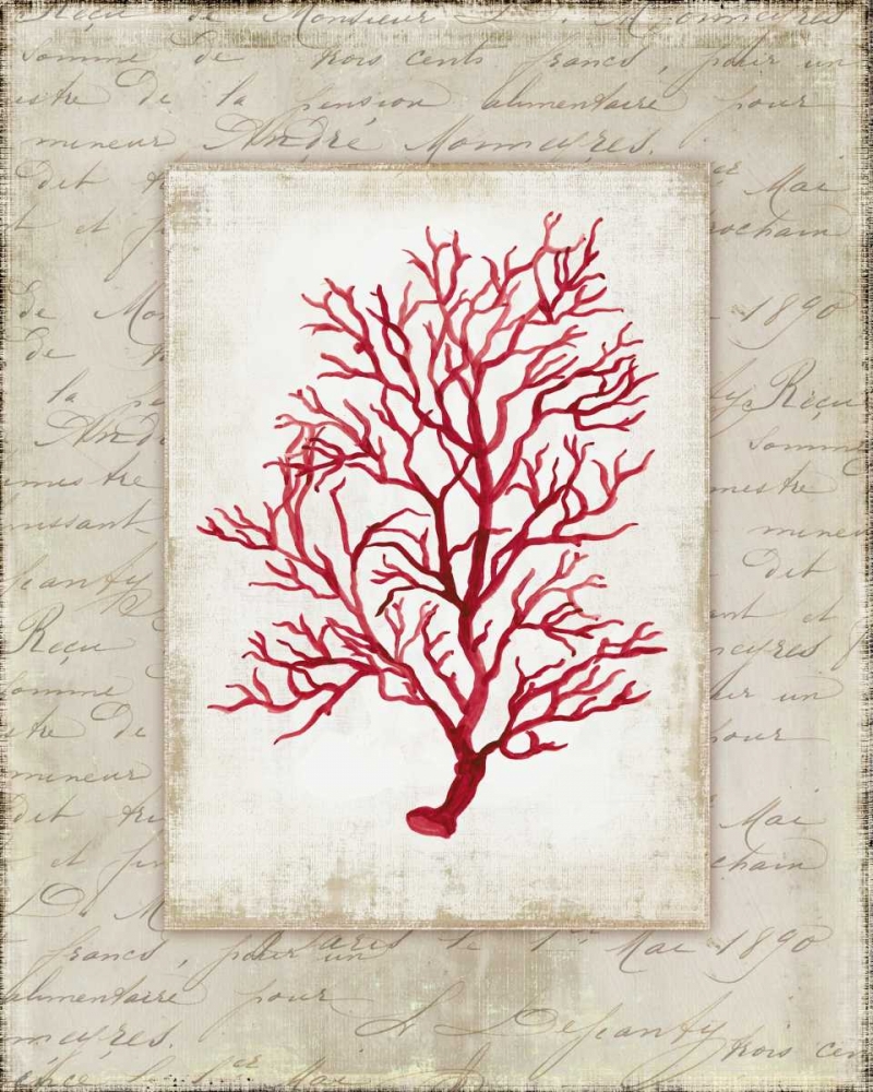 Red Coral III art print by Aimee Wilson for $57.95 CAD