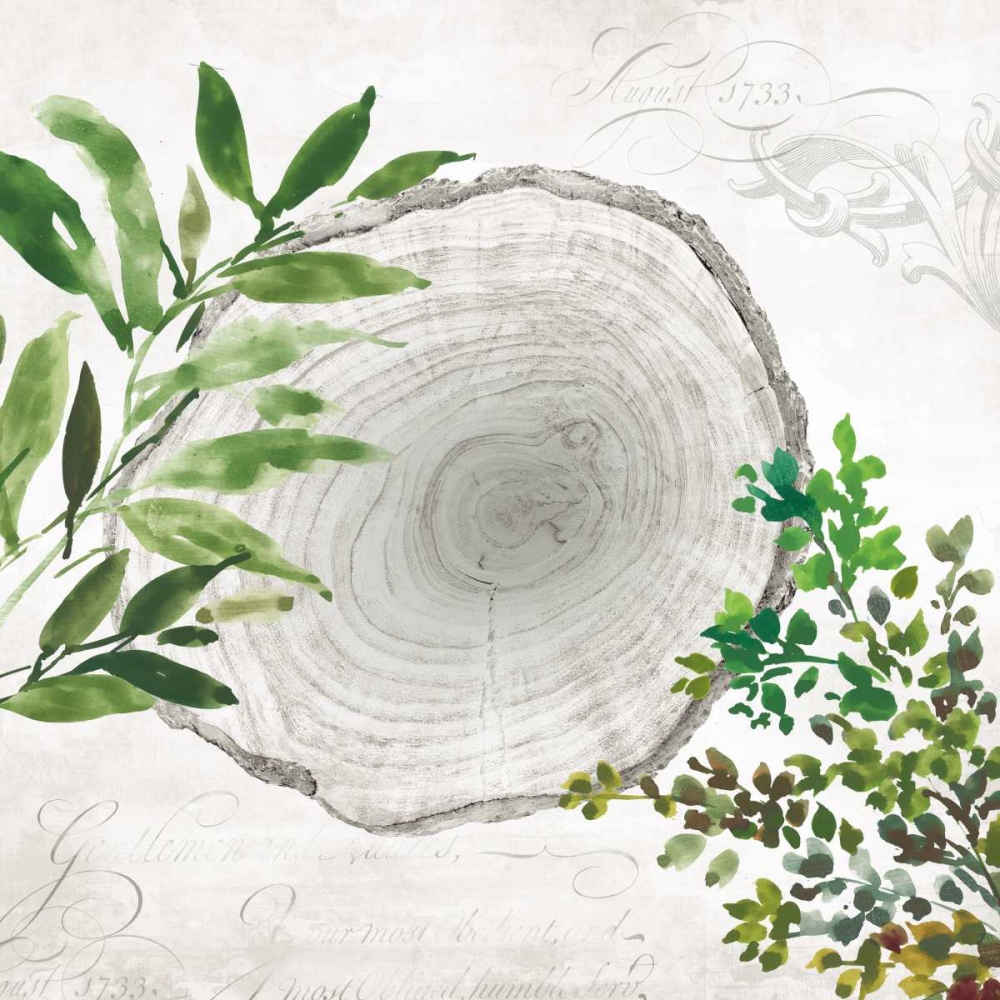Eco II art print by Aimee Wilson for $57.95 CAD
