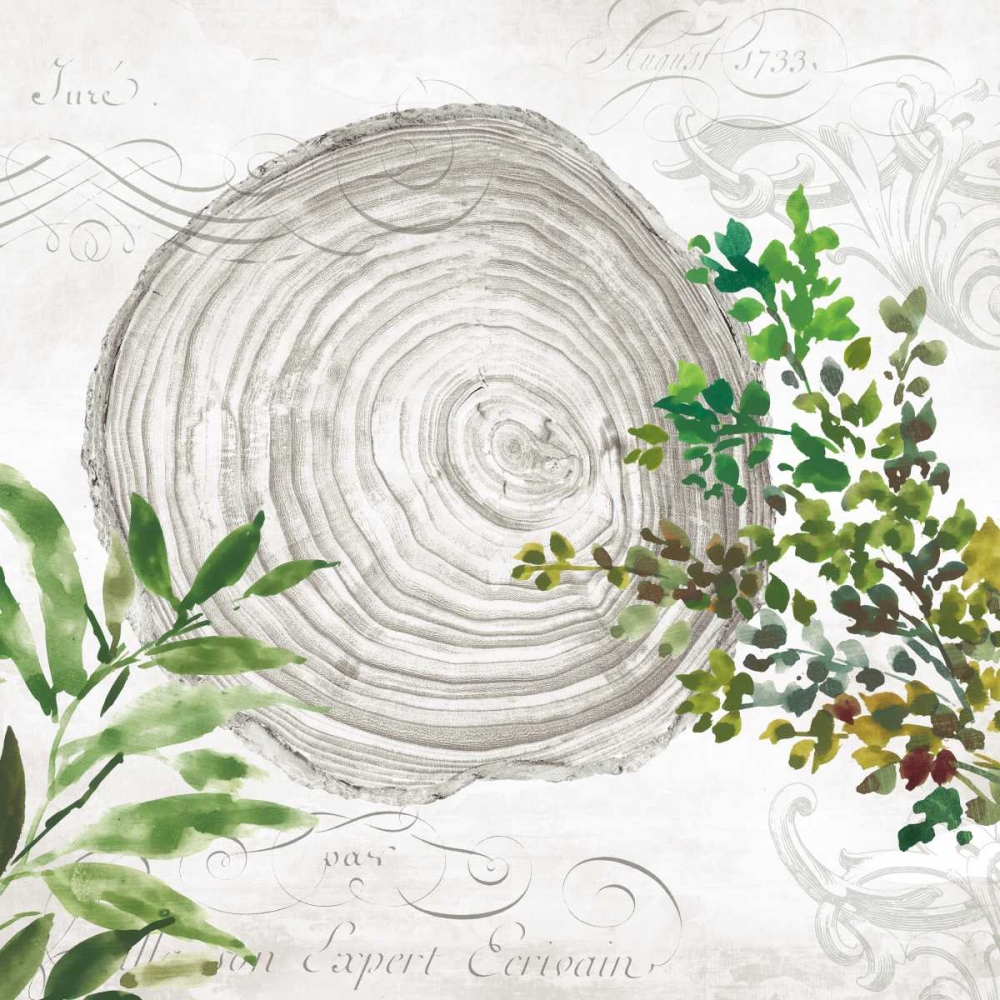 Eco III art print by Aimee Wilson for $57.95 CAD