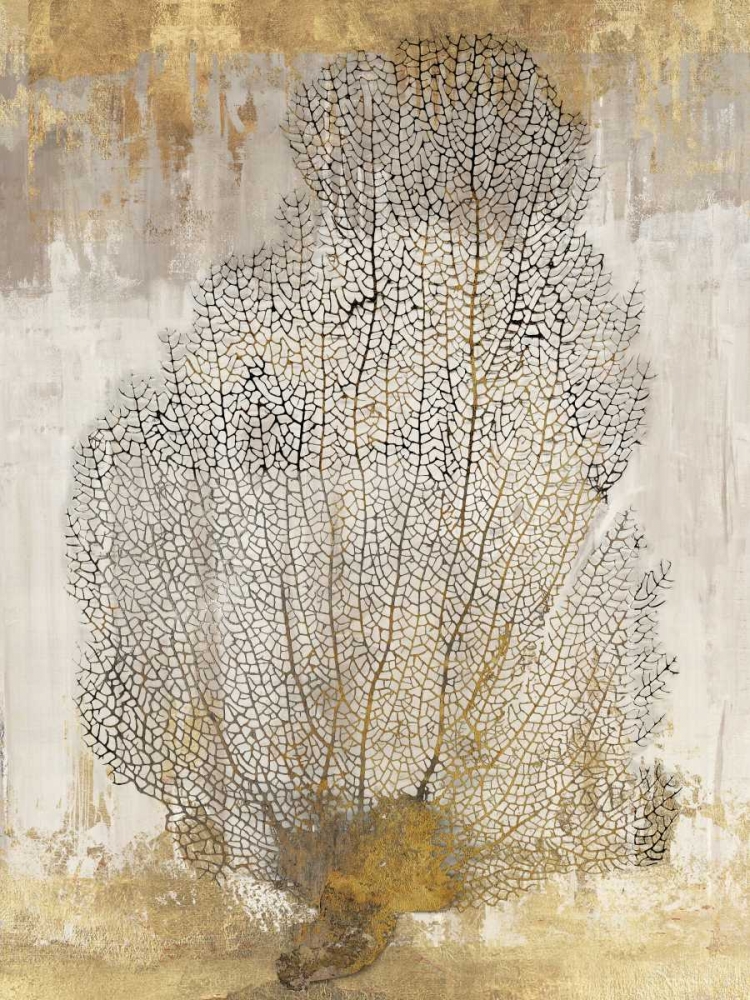 Coral Splendor II art print by Aimee Wilson for $57.95 CAD
