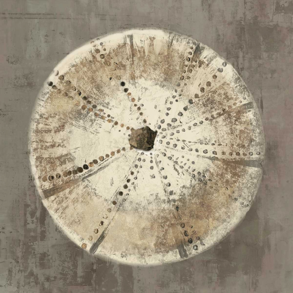 Sand Dollar I art print by Aimee Wilson for $57.95 CAD