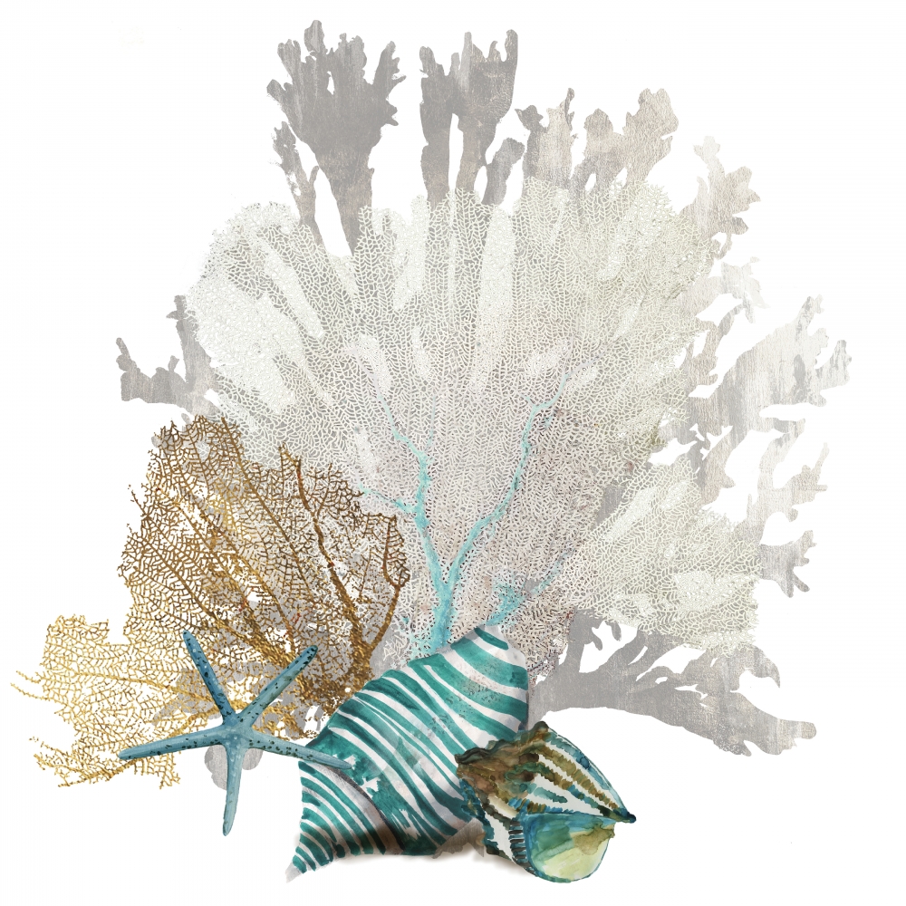 Coral art print by Aimee Wilson for $57.95 CAD