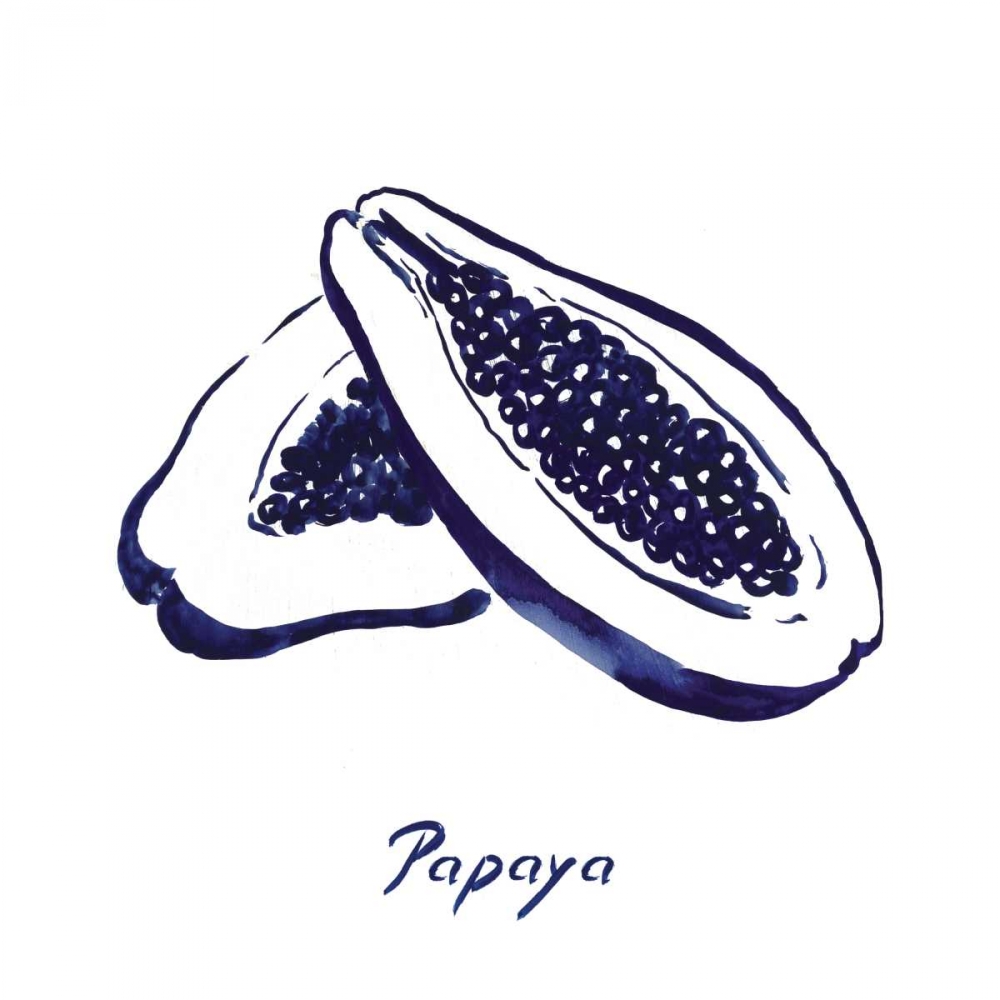 Indigo Papaya art print by Aimee Wilson for $57.95 CAD