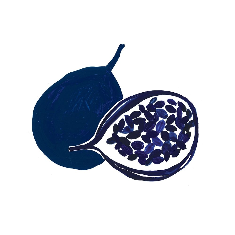 Indigo Passion Fruit art print by Aimee Wilson for $57.95 CAD