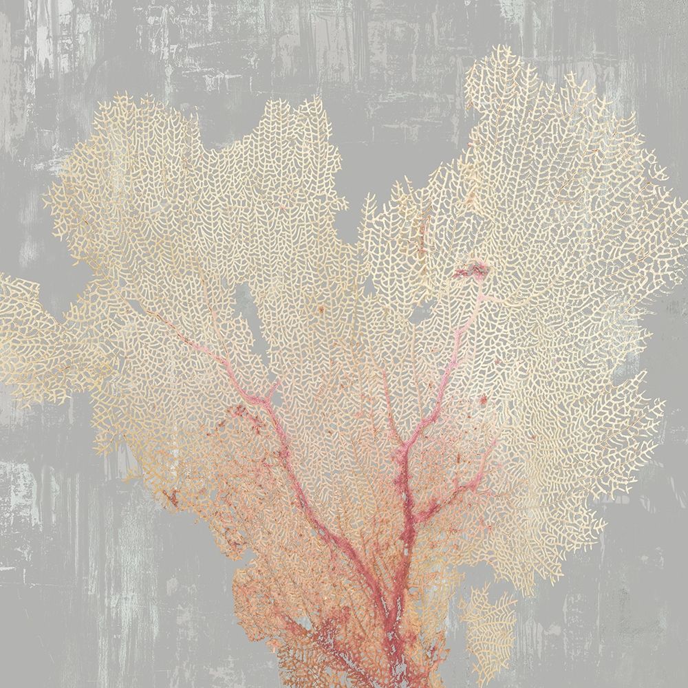 Blush Coral I art print by Aimee Wilson for $57.95 CAD