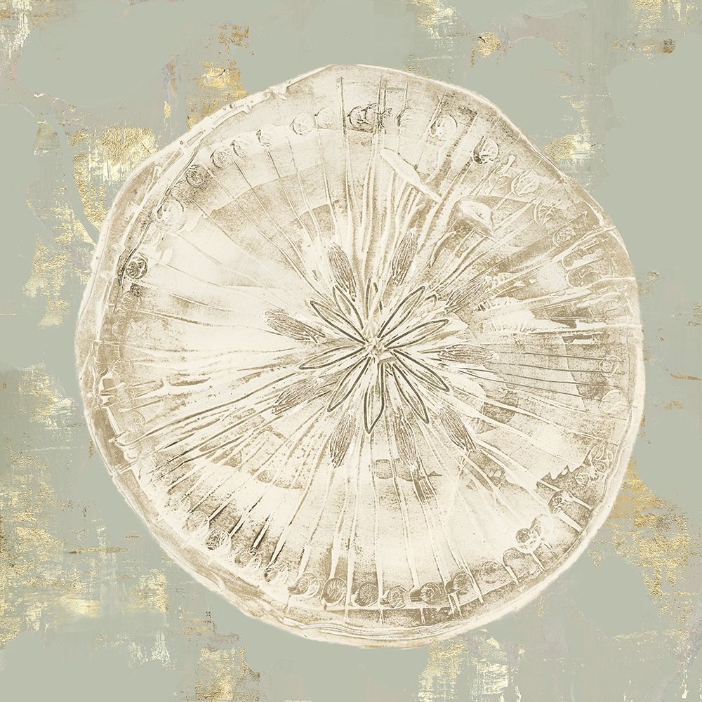 Cone Shells II art print by Aimee Wilson for $57.95 CAD