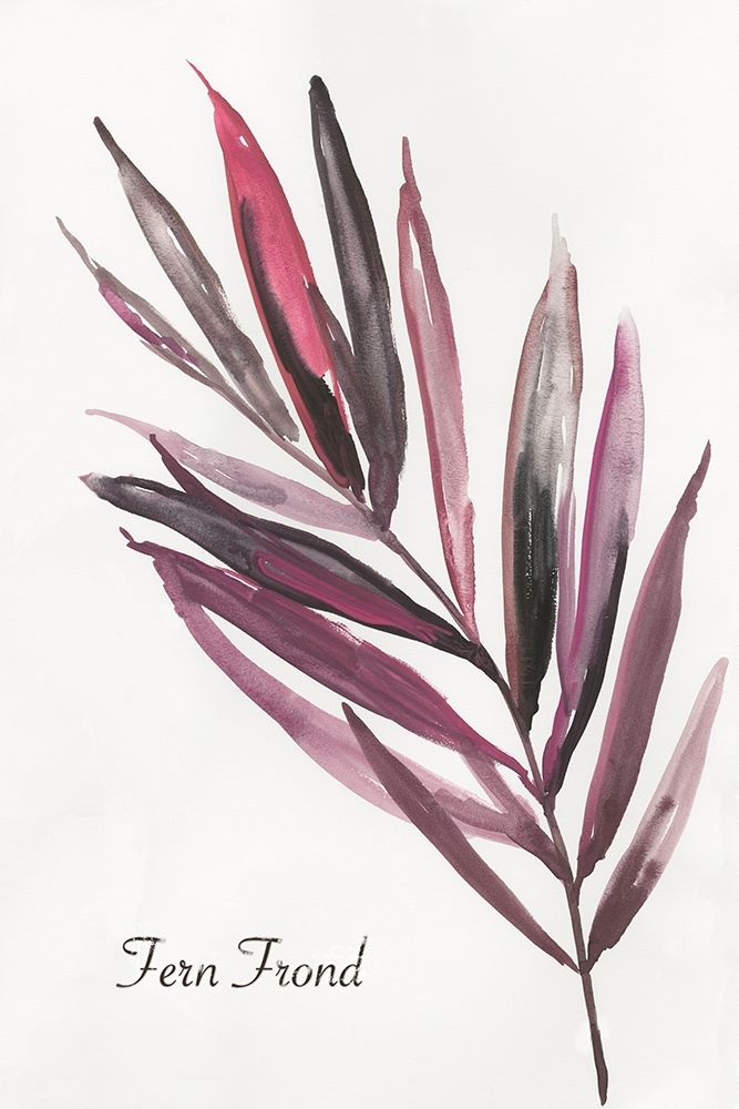 Fern Frond art print by Aimee Wilson for $57.95 CAD
